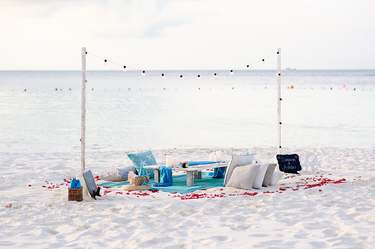 Cancun picnic seashell them